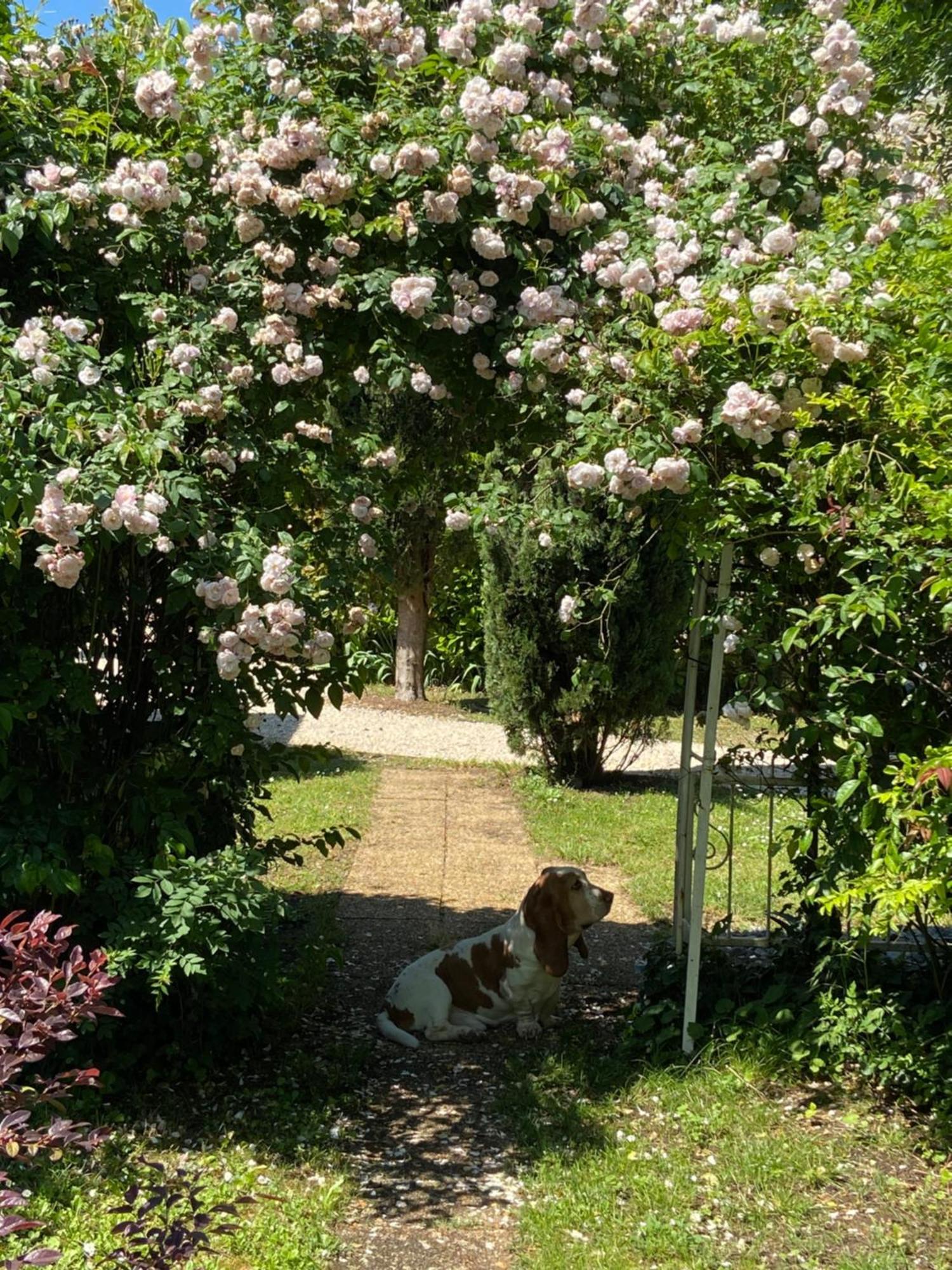 De Charme Jas De Ardeche Du Sud Piscine Holiday home